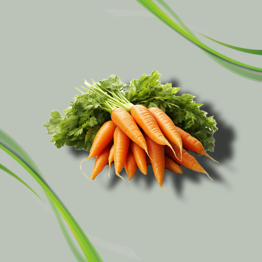 Fresh  Carrot