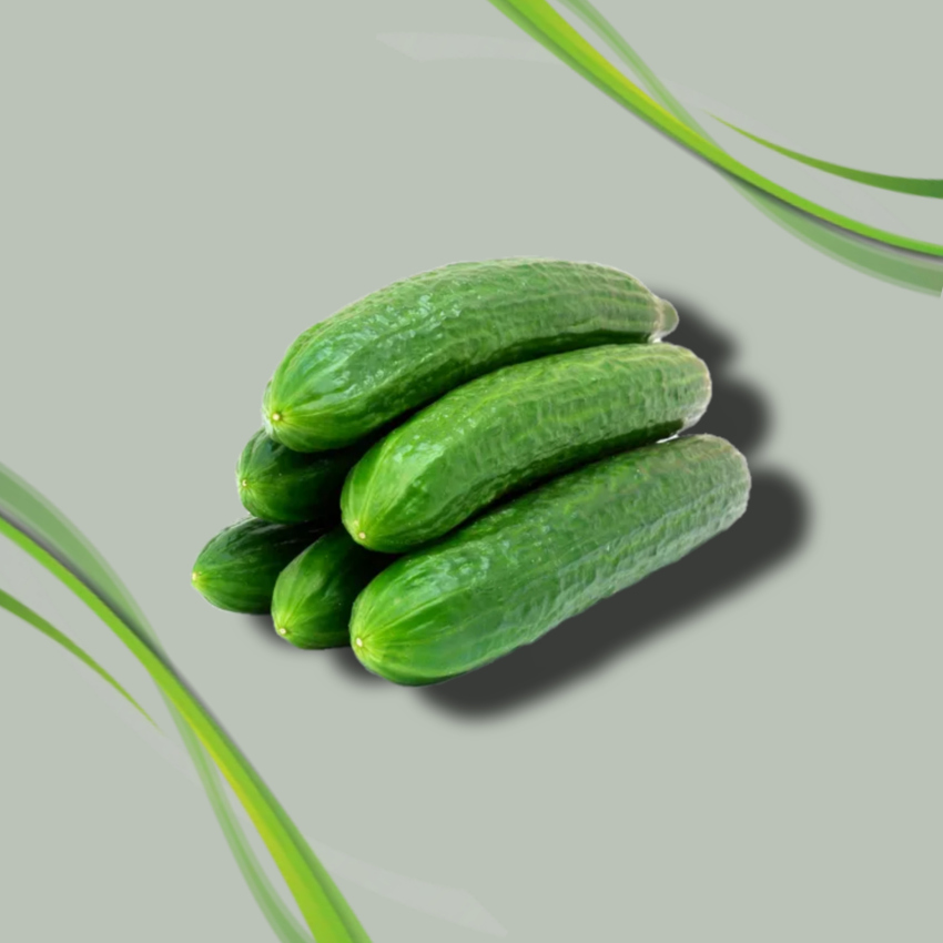 Fresh Cucumber