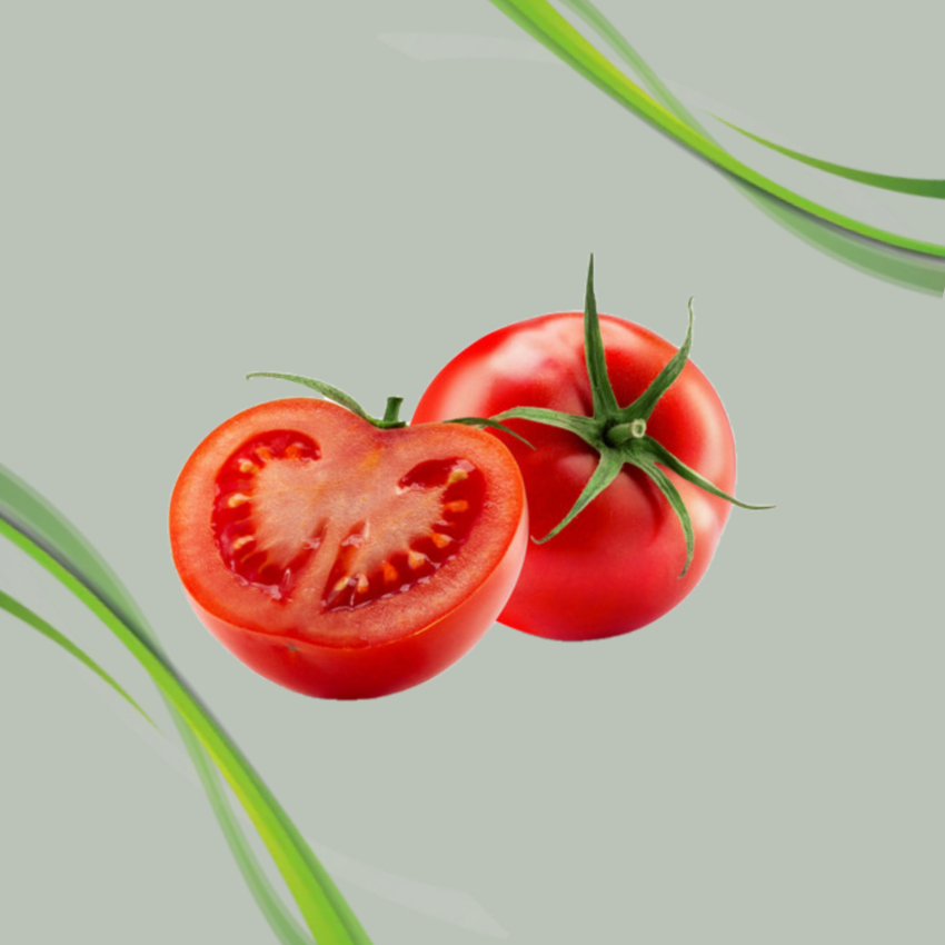 fresh Tomato